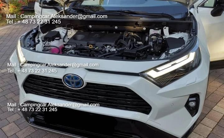 FB_IMG_1729329940782