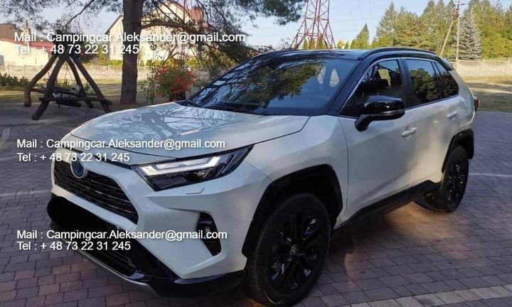 FB_IMG_1729330076789