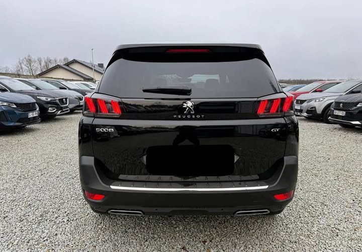 FB_IMG_1738410249236