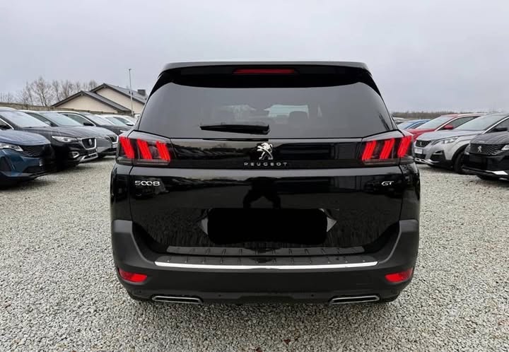 FB_IMG_1738410334939