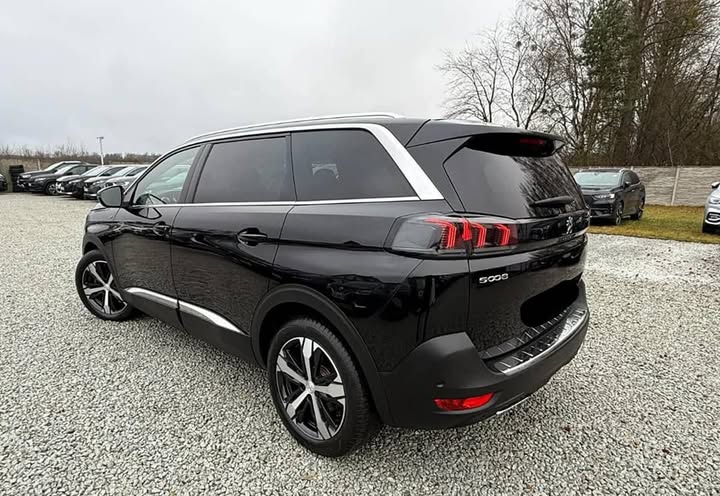 FB_IMG_1738410336995