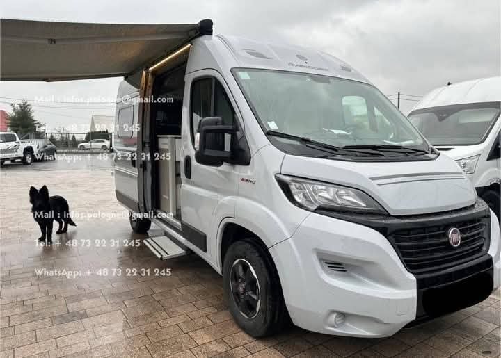 FB_IMG_1747416750649