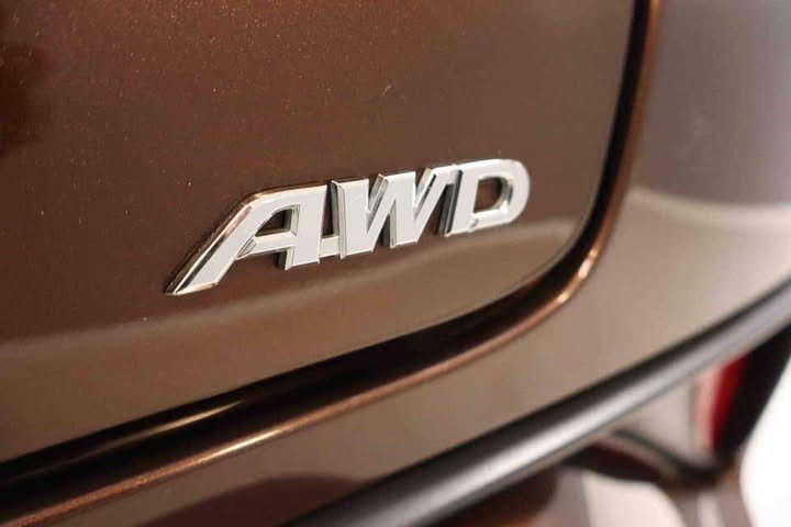 FB_IMG_1750850628205