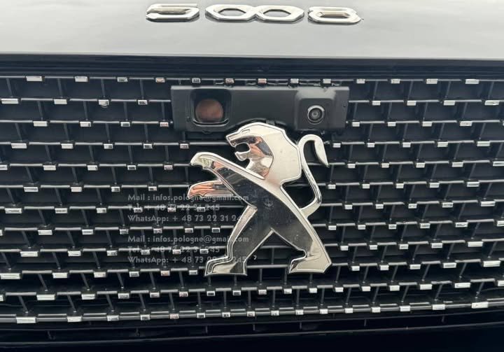 FB_IMG_1751187717153