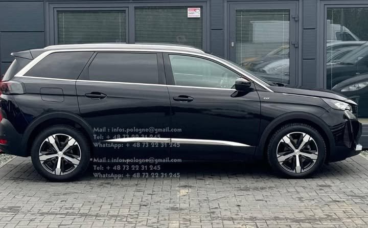 FB_IMG_1751187719393