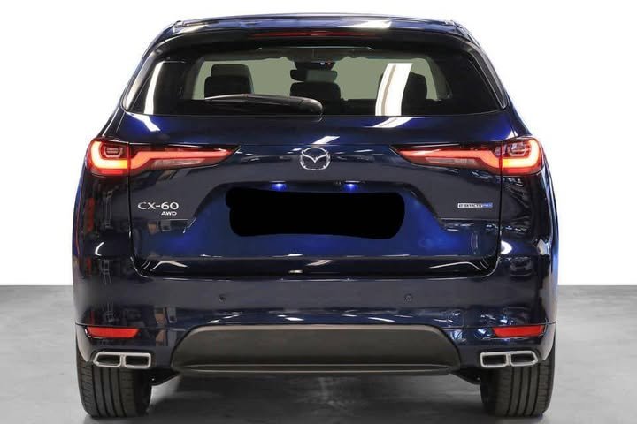 FB_IMG_1751210040914