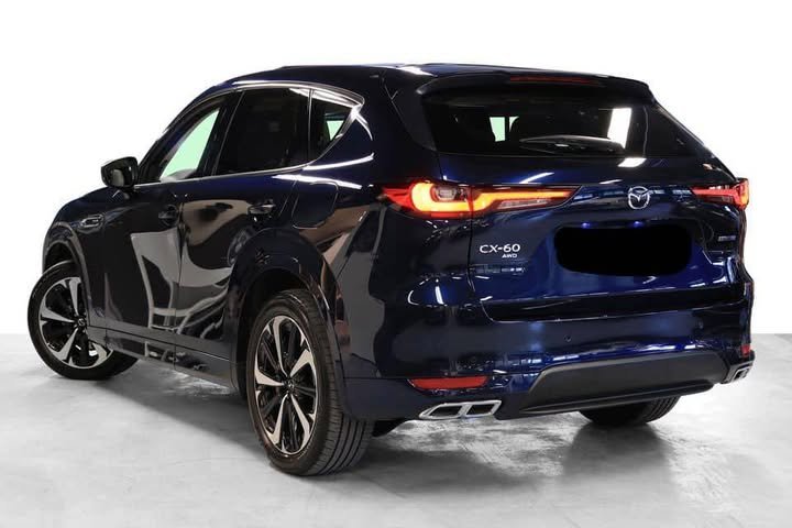 FB_IMG_1751210044860