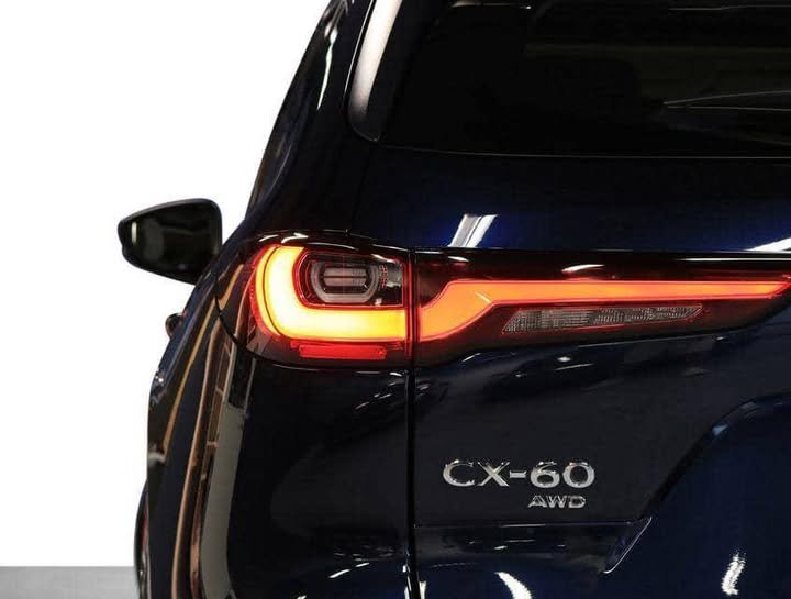 FB_IMG_1751210070415