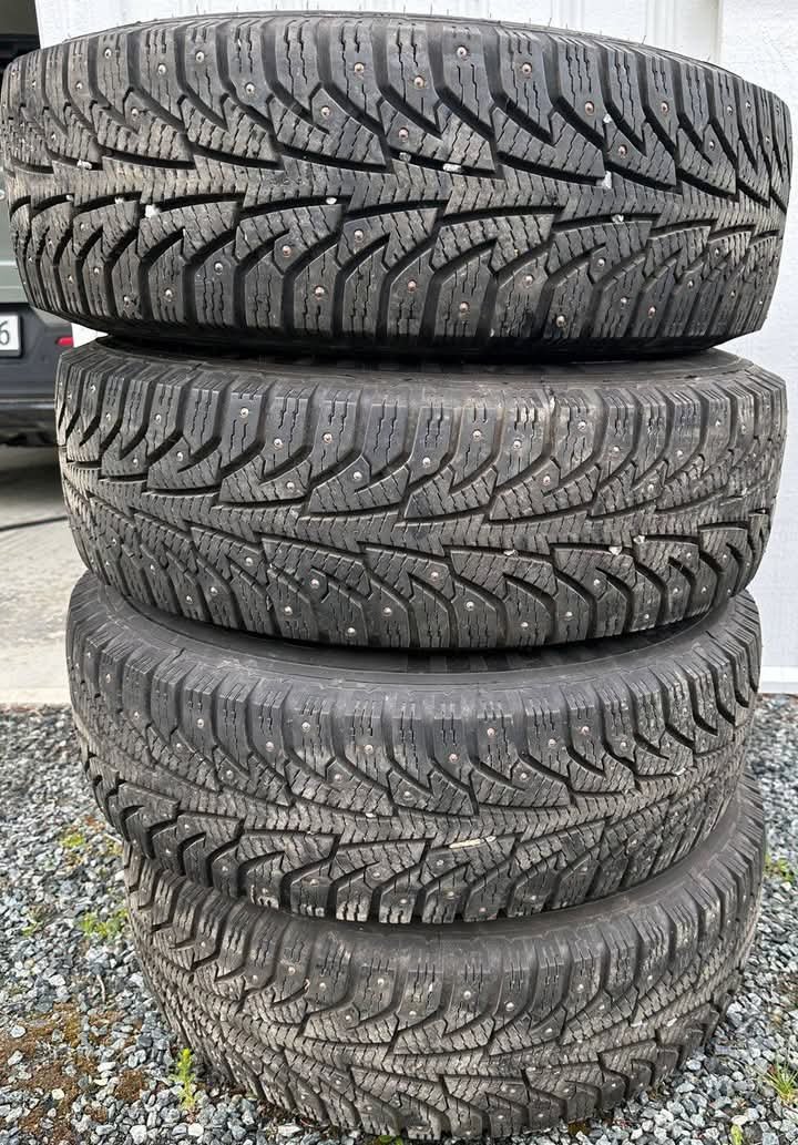 FB_IMG_1751486028186