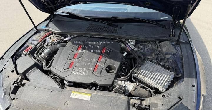 FB_IMG_1751556356879