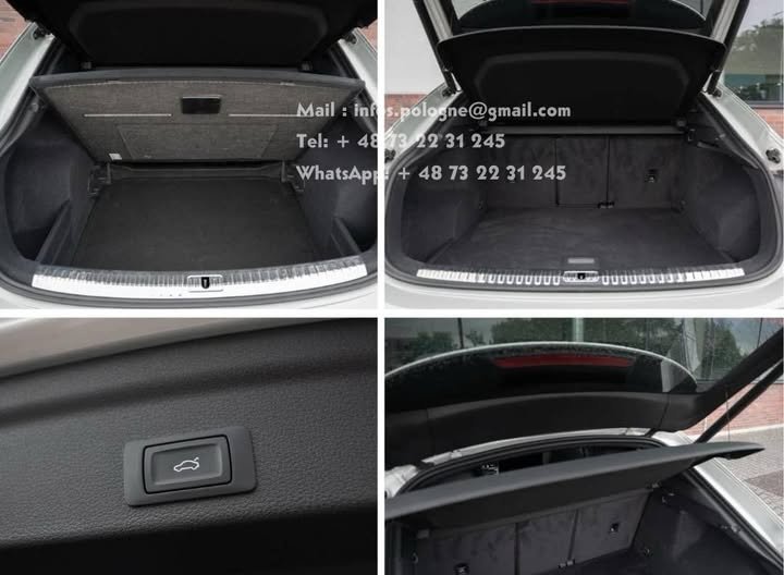 FB_IMG_1752677069391