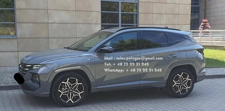 FB_IMG_1753003121956