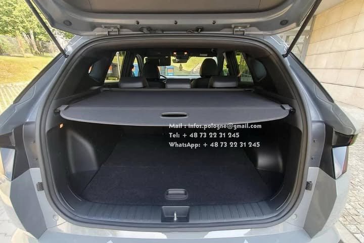 FB_IMG_1753003134844