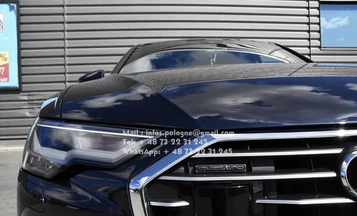 FB_IMG_1753309437058