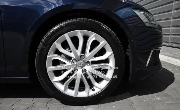 FB_IMG_1753309519284