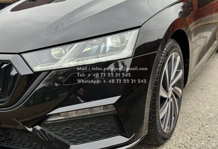 FB_IMG_1753823453240