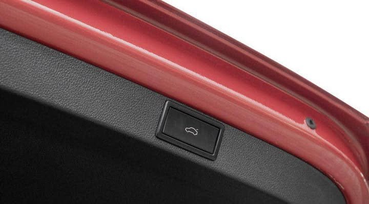 FB_IMG_1754101013185