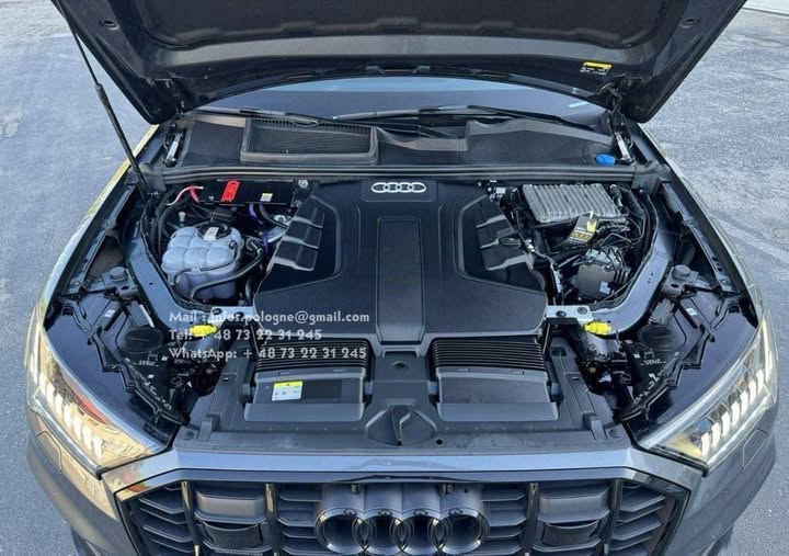 FB_IMG_1754594001607