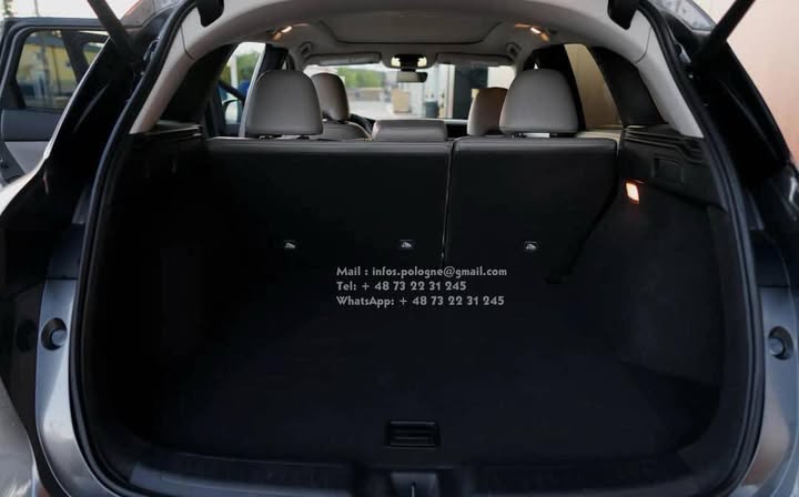 FB_IMG_1754909363839