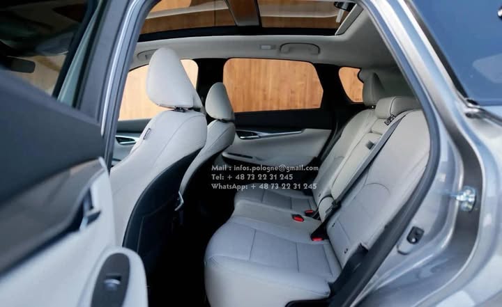 FB_IMG_1754909546401