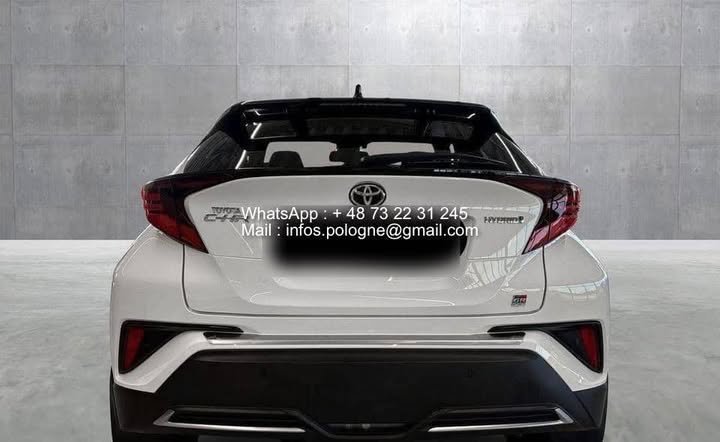 FB_IMG_1755170321421