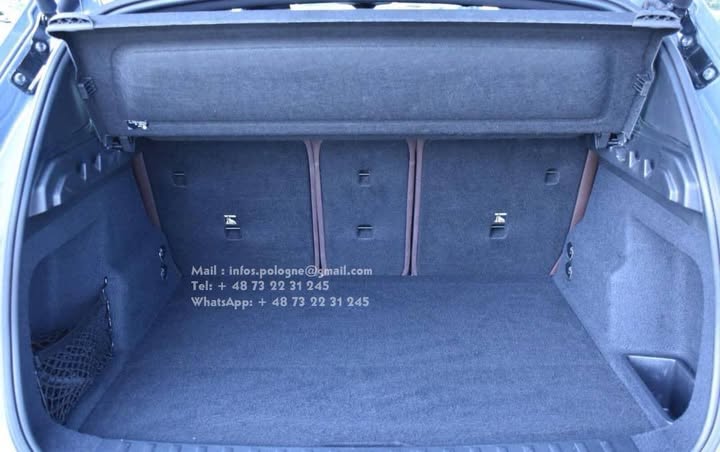 FB_IMG_1755171202346