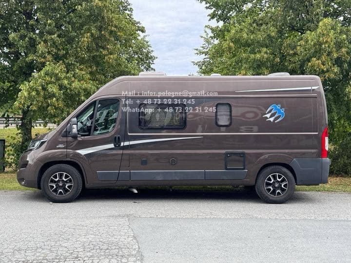 FB_IMG_1755191743355