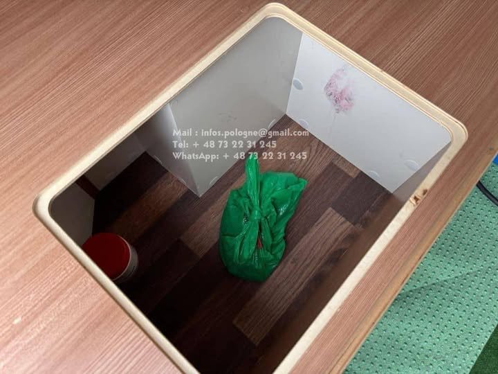 FB_IMG_1755191837253