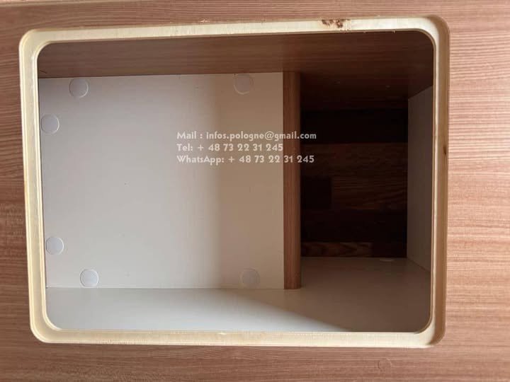 FB_IMG_1755191914393