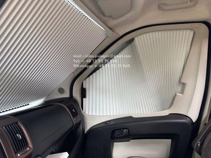 FB_IMG_1755191961579