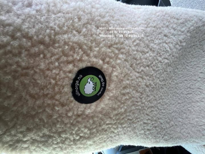 FB_IMG_1755196745558