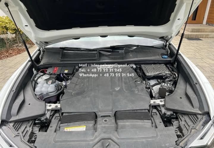 FB_IMG_1755196985750