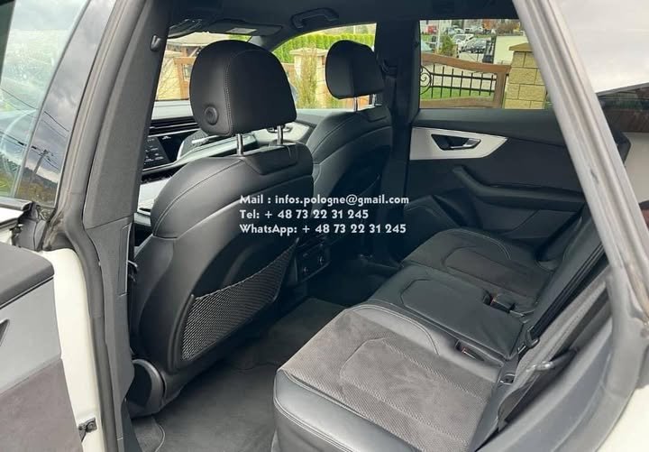 FB_IMG_1755197011564