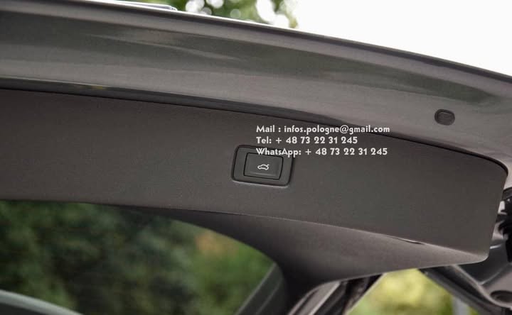 FB_IMG_1755208773648