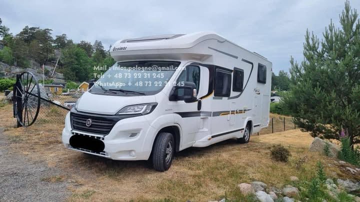 FB_IMG_1755257012336