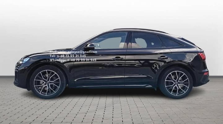 FB_IMG_1755269477325