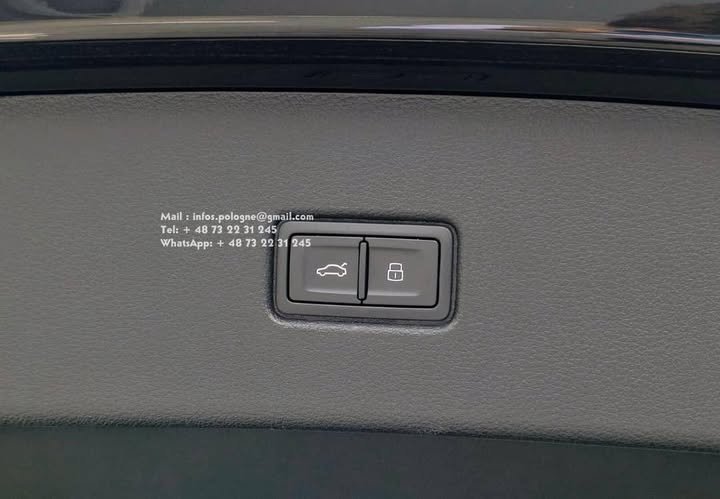 FB_IMG_1755269597542