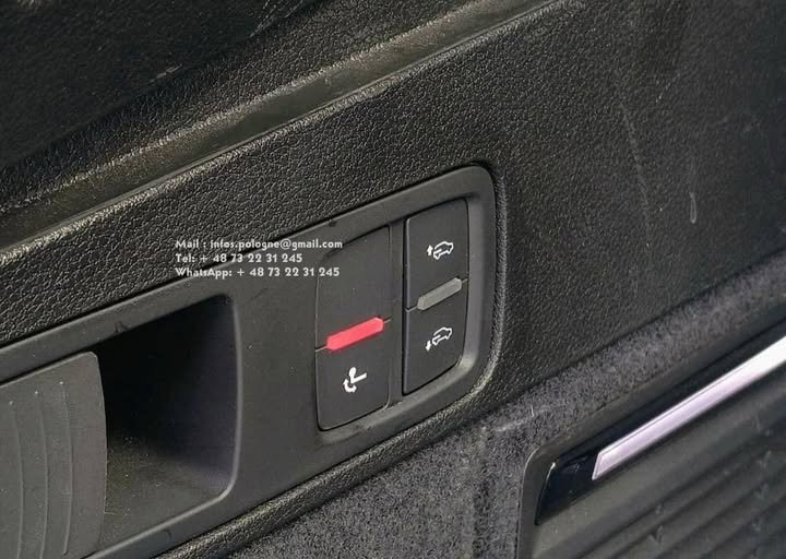 FB_IMG_1755269621452