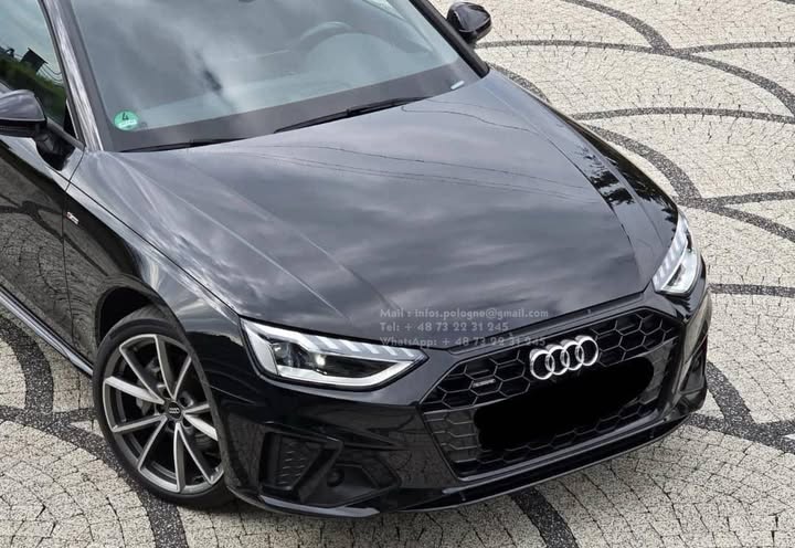 FB_IMG_1755270685581