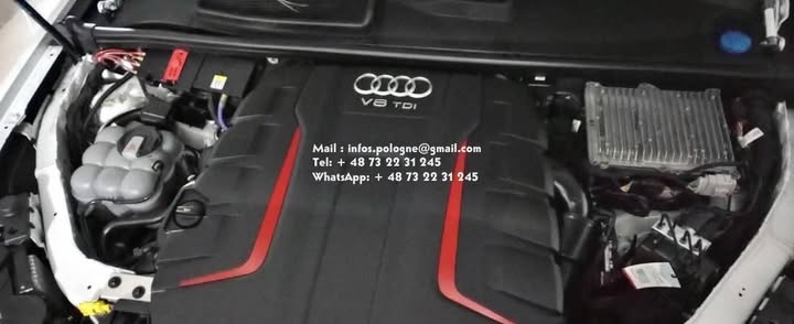 FB_IMG_1755271627554