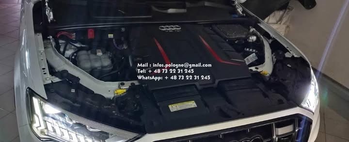 FB_IMG_1755271648088