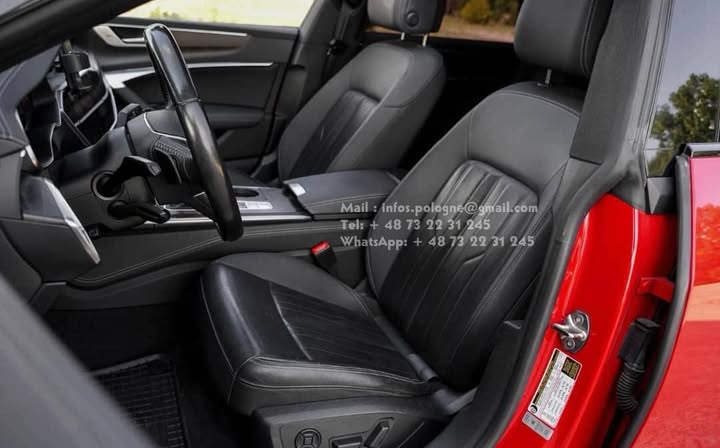 FB_IMG_1755272751624