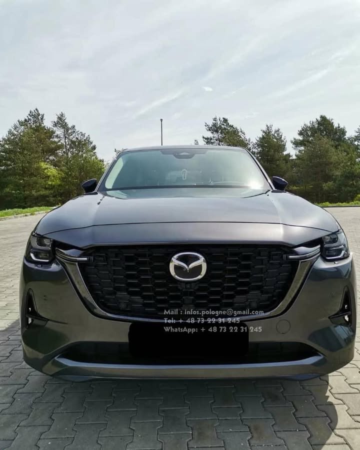 FB_IMG_1755349381943