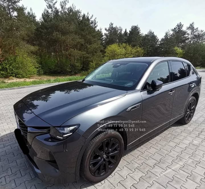 FB_IMG_1755349396498