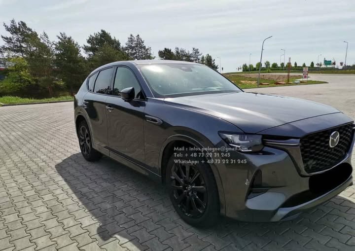 FB_IMG_1755349402146