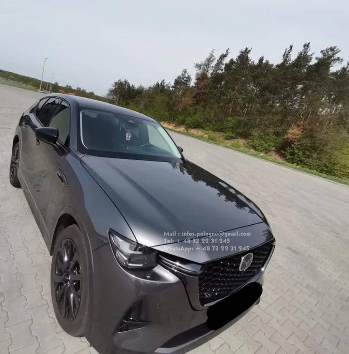 FB_IMG_1755349406529