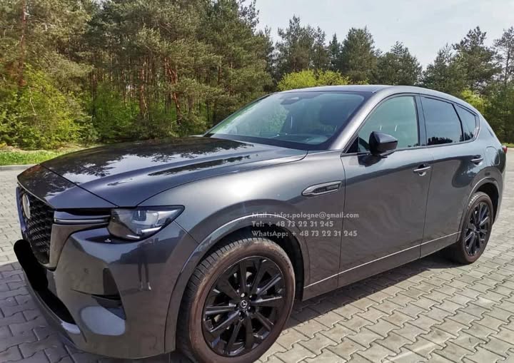 FB_IMG_1755349410339