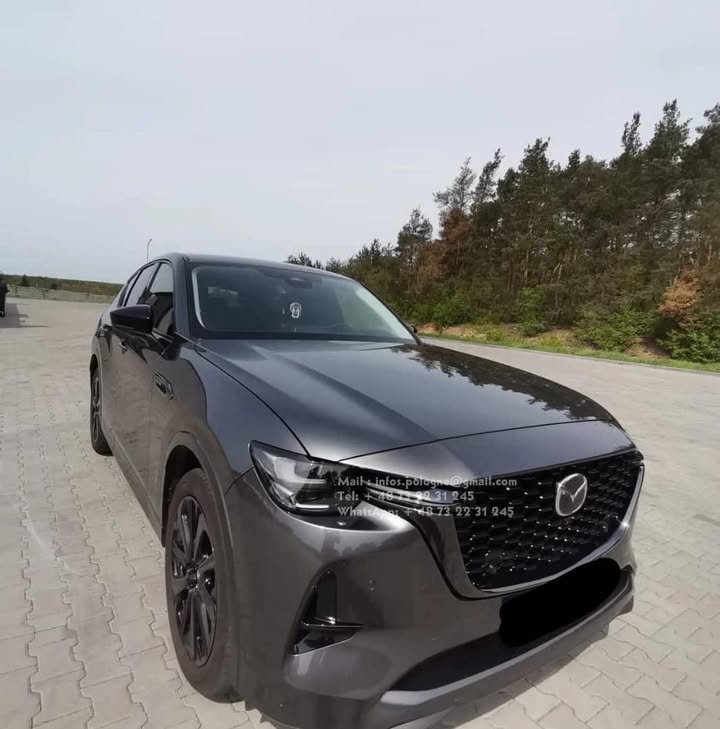 FB_IMG_1755349412563