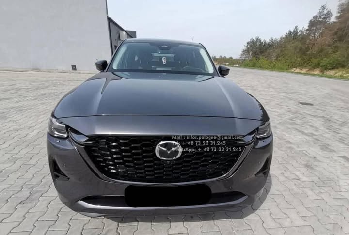 FB_IMG_1755349414805