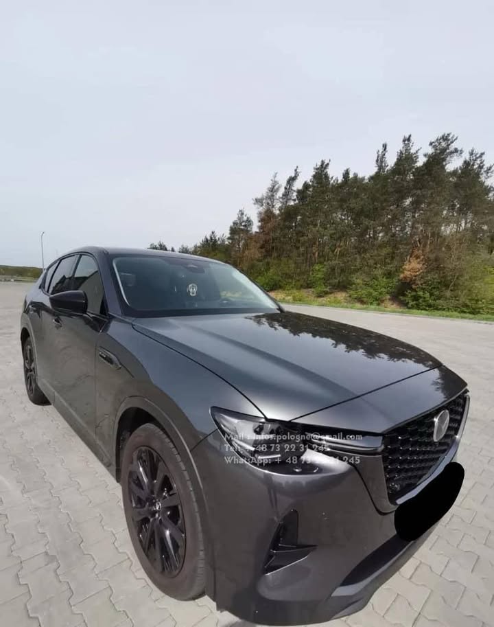 FB_IMG_1755349417178